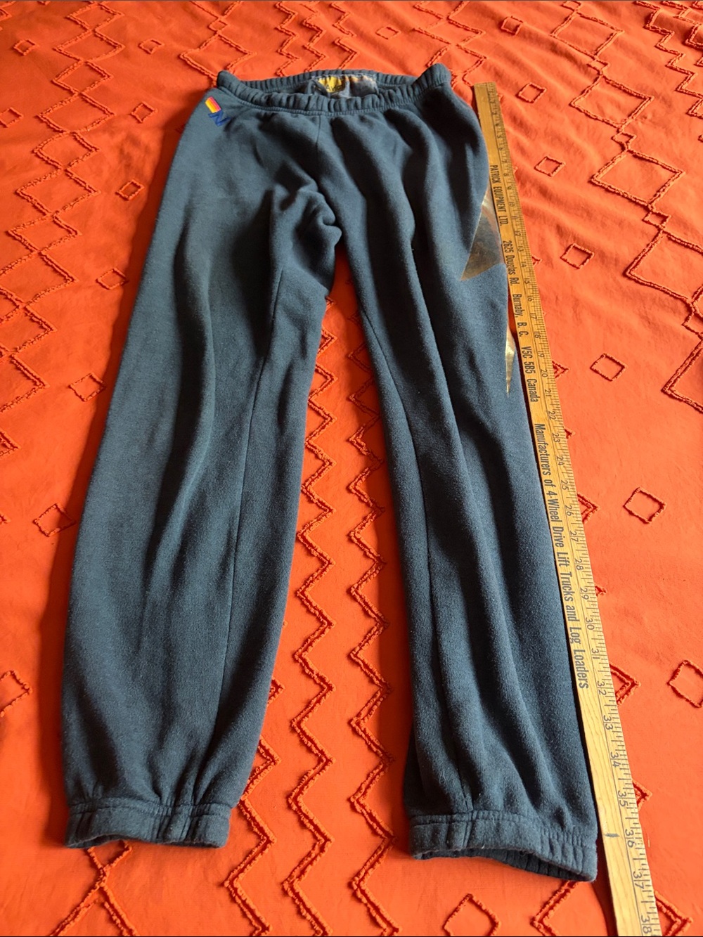 Aviator Nation joggers small blue grey lightening small